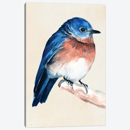 Little Bird On Branch I Canvas Print #JPP5} by Jennifer Paxton Parker Canvas Art Print