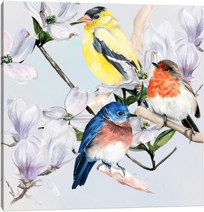 Four Little Birds II Canvas Art Print - Jennifer Paxton Parker