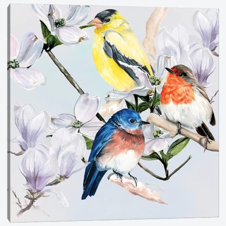 Four Little Birds II Canvas Print #JPP601} by Jennifer Paxton Parker Canvas Art
