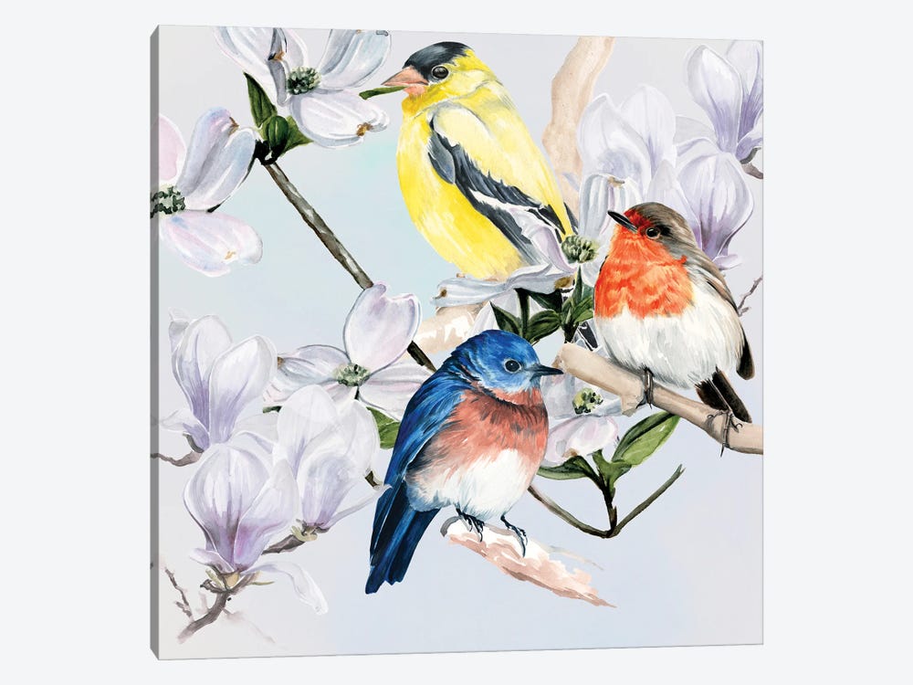 Four Little Birds II by Jennifer Paxton Parker 1-piece Canvas Print