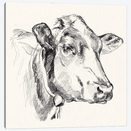 Holstein Portrait Sketch I Canvas Print #JPP606} by Jennifer Paxton Parker Art Print