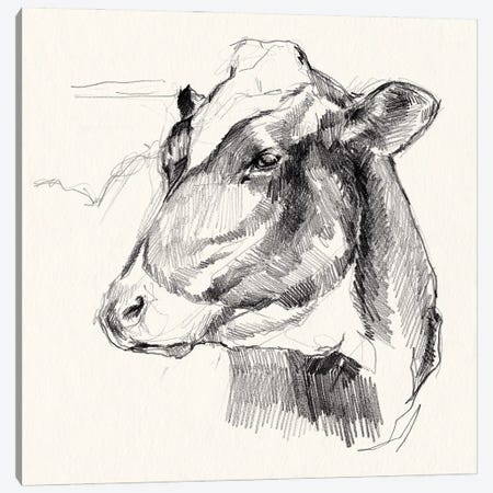 Holstein Portrait Sketch II Canvas Print #JPP607} by Jennifer Paxton Parker Canvas Art Print