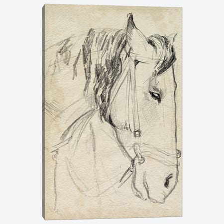 Horse in Bridle Sketch I Canvas Print #JPP608} by Jennifer Paxton Parker Canvas Wall Art