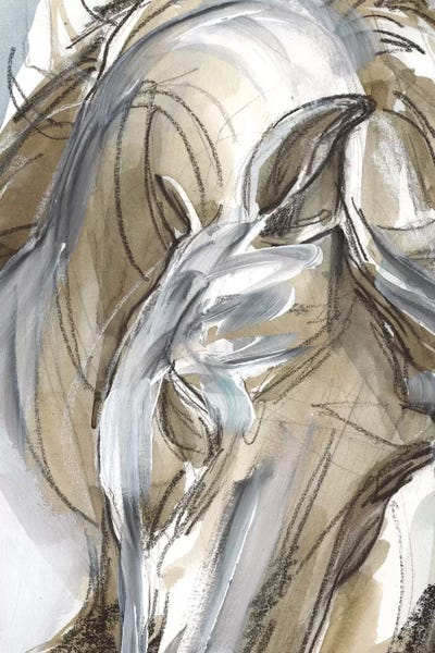 Horse Abstraction I by Jennifer Paxton Parker canvas print