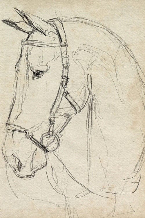 Horse in Bridle Sketch II by Jennifer Paxton Parker wall art