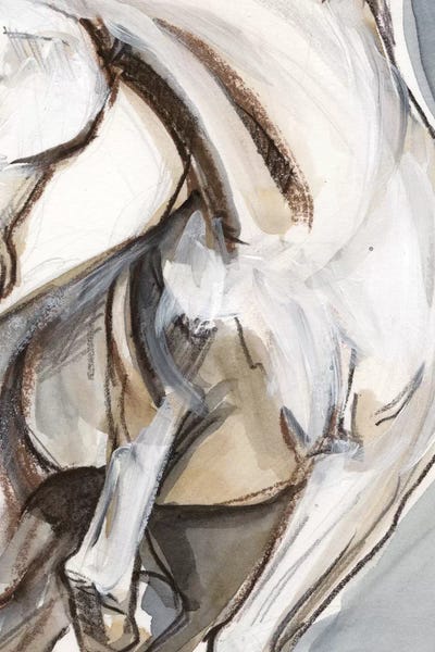 Horse Abstraction II by Jennifer Paxton Parker canvas print