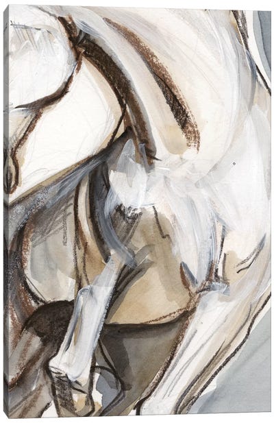 Horse Abstraction II Canvas Art Print - Jennifer Paxton Parker