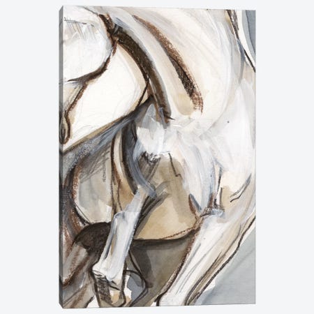 Horse Abstraction II Canvas Print #JPP62} by Jennifer Paxton Parker Art Print