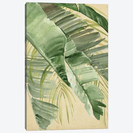 Banana Palms I Canvas Print #JPP647} by Jennifer Paxton Parker Art Print