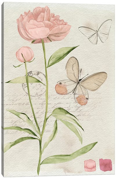 Field Notes Florals II Canvas Art Print - Jennifer Paxton Parker