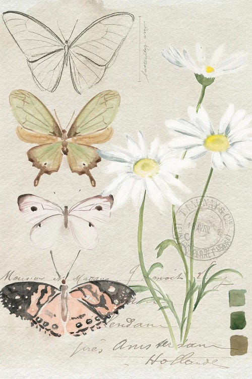 Field Notes Florals IV by Jennifer Paxton Parker wall art