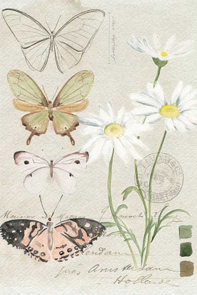 Butterflies and Flowers: Field Notes Florals IV by Jennifer Paxton Parker