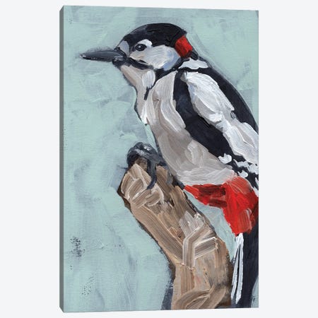 Woodpecker Paintstrokes I Canvas Print #JPP661} by Jennifer Paxton Parker Canvas Artwork