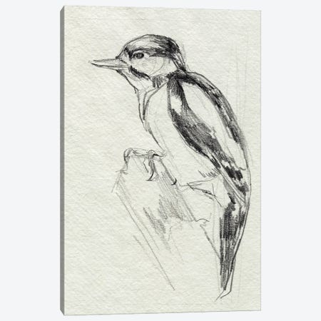 Woodpecker Sketch I Canvas Print #JPP662} by Jennifer Paxton Parker Canvas Wall Art