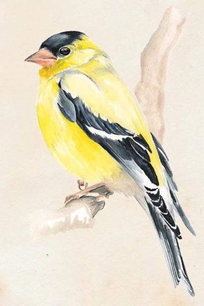 Little Bird On Branch III by Jennifer Paxton Parker art print