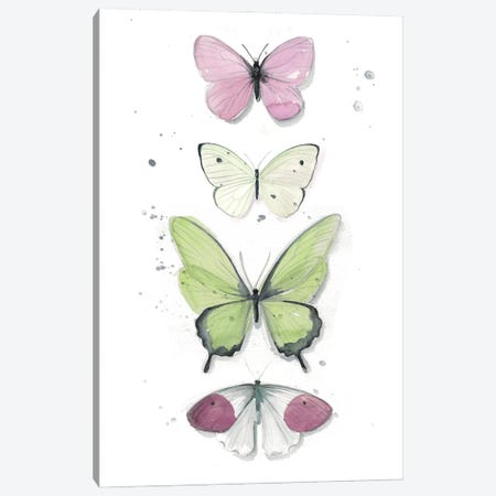 Summer Butterflies II Canvas Print #JPP82} by Jennifer Paxton Parker Canvas Print