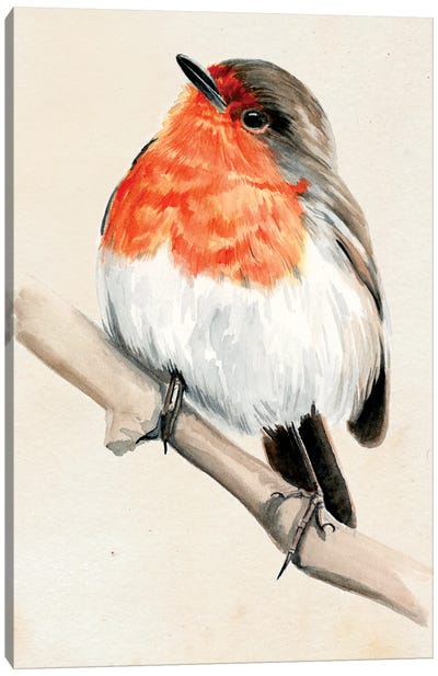 Little Bird On Branch IV Canvas Art Print