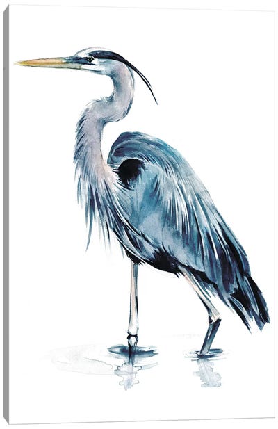 Blue Heron II Canvas Art Print - Watercolor Art