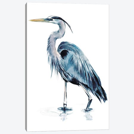 Blue Heron II Canvas Print #JPP96} by Jennifer Paxton Parker Art Print