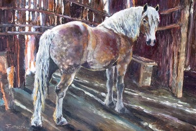 Sheltering in the Old Barn by Jan Perley canvas print