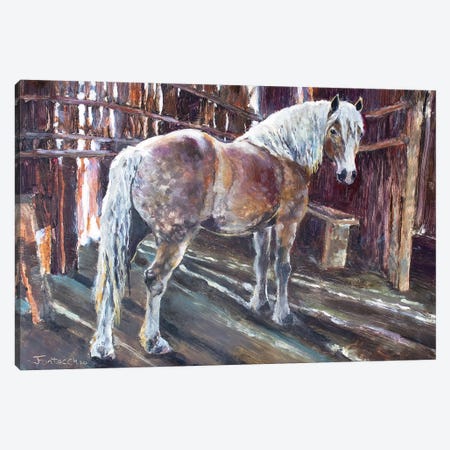 Sheltering in the Old Barn Canvas Print #JPR13} by Jan Perley Canvas Artwork