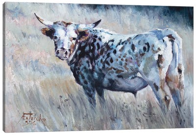 Summer Pastures Canvas Art Print - Jan Perley