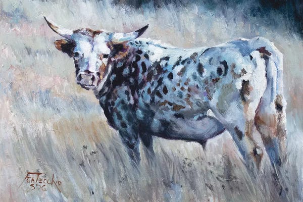 Jan Perley: Summer Pastures by Jan Perley