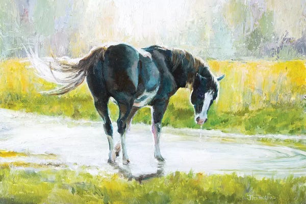 Jan Perley: Suns Out, Buns Out by Jan Perley