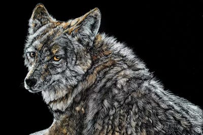 The Look by Jan Perley framed wall art