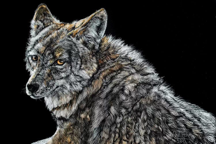 The Look by Jan Perley wall art