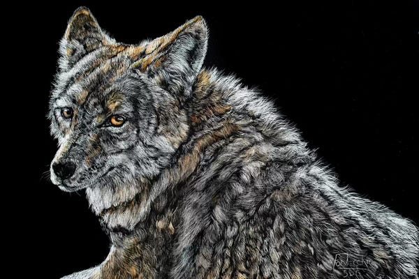 Jan Perley: The Look by Jan Perley