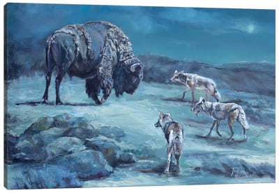 The Old Bull Canvas Art Print - Western Décor