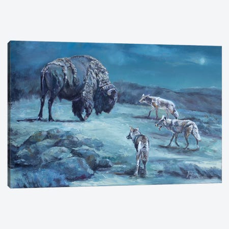 The Old Bull Canvas Print #JPR20} by Jan Perley Art Print