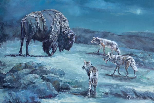 Jan Perley: The Old Bull by Jan Perley