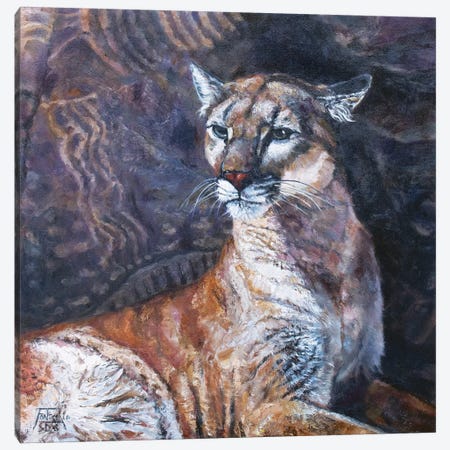 The Puma of Parowan Gap Canvas Print #JPR22} by Jan Perley Canvas Print