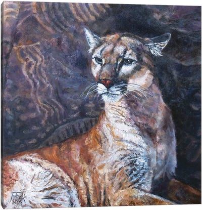 The Puma of Parowan Gap Canvas Art Print - Jan Perley