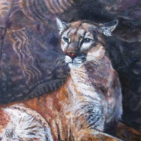 Jan Perley: The Puma of Parowan Gap by Jan Perley