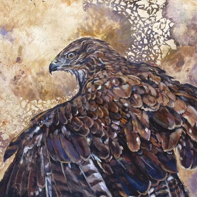 Thermals by Jan Perley art print