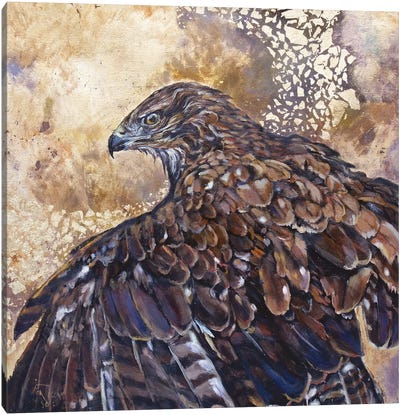 Thermals Canvas Art Print - Buzzard & Hawk Art