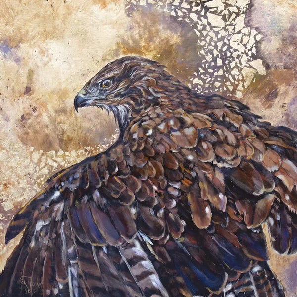 Jan Perley: Thermals by Jan Perley