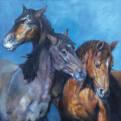 Three Amigos by Jan Perley canvas print