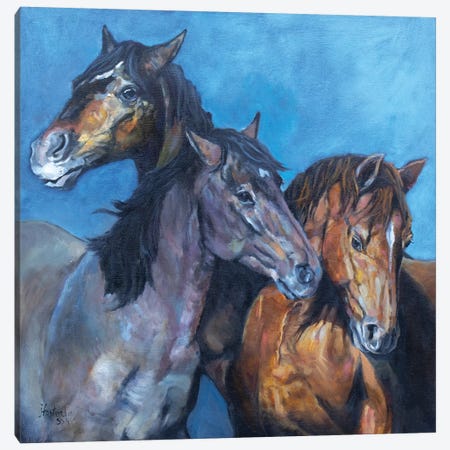 Three Amigos Canvas Print #JPR25} by Jan Perley Canvas Wall Art