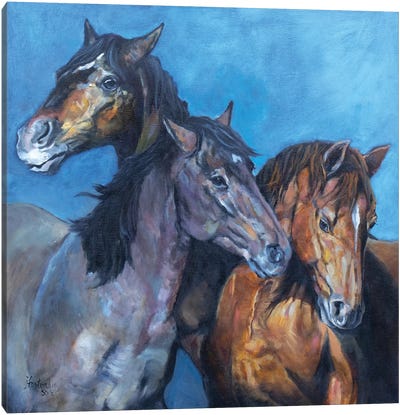 Three Amigos Canvas Art Print - Jan Perley