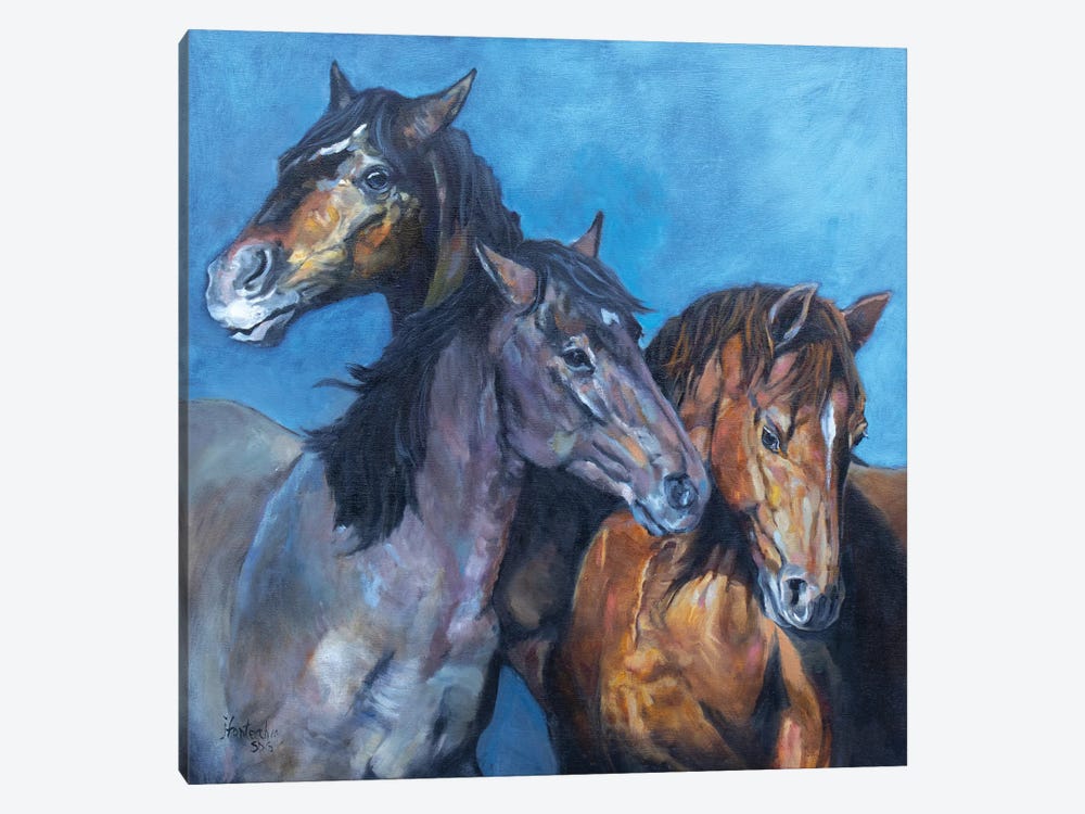 Three Amigos by Jan Perley 1-piece Canvas Artwork