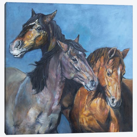 Tres Amigos Canvas Print #JPR29} by Jan Perley Art Print