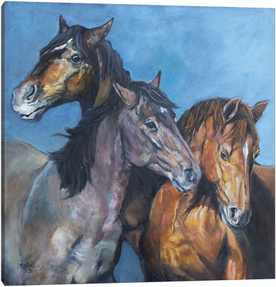 Tres Amigos Canvas Art Print - Jan Perley