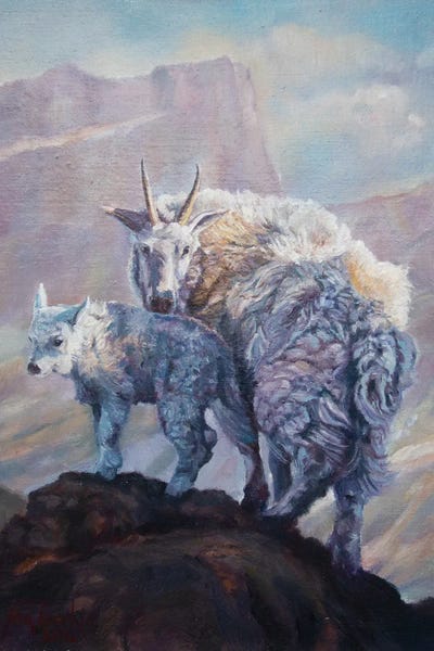 Jan Perley: On High Places by Jan Perley