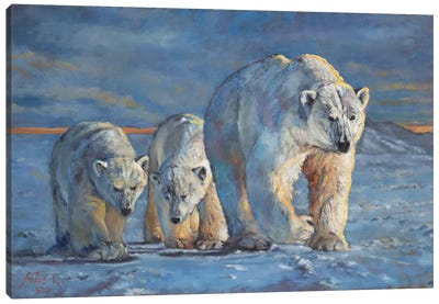 Dawning Canvas Art Print - Polar Bear Art