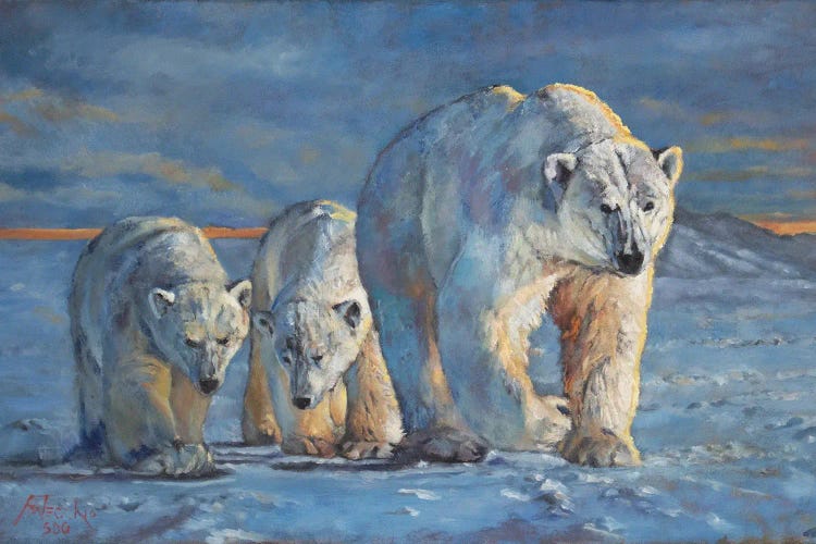 Dawning by Jan Perley wall art