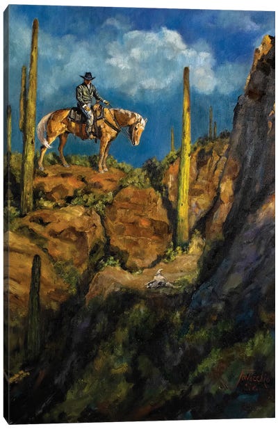 An Old Stray Canvas Art Print - Cowboy & Cowgirl Art